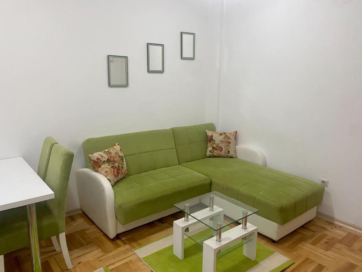 Rio 2 Apartment Podgorica Bagian luar foto